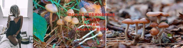 кокаин перу Алзамай