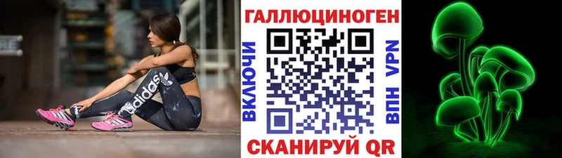 Псилоцибиновые грибы мицелий Вышний Волочёк